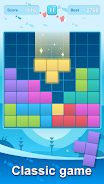 Block Puzzle Plus Screenshot2