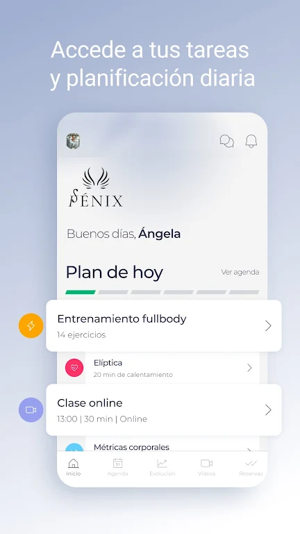 Fénix Screenshot2