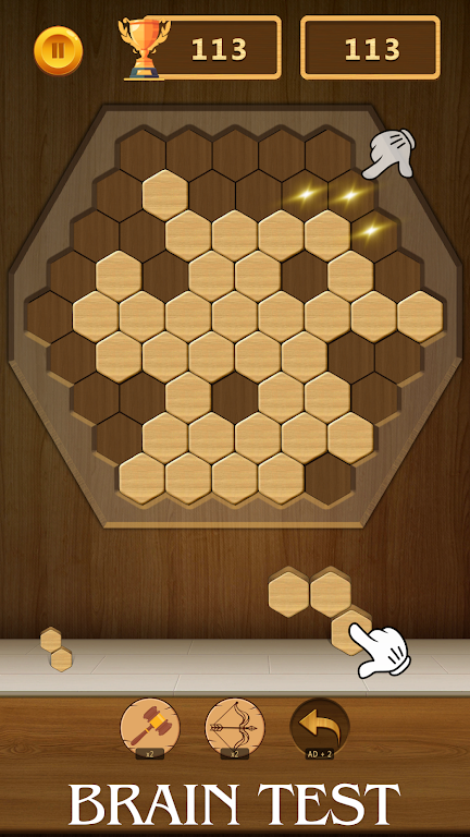 Wood Block Puzzle - Games 2024 Screenshot4