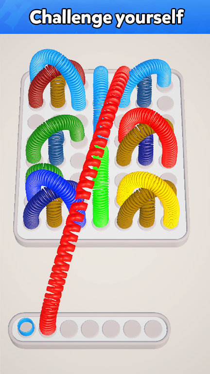 Slinky Jam 3D - Sort puzzle Screenshot2