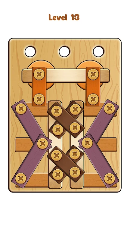 Nuts & Bolts Wood Screw Puzzle Screenshot3