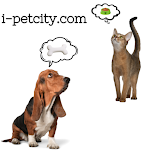 Petcity APK