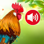Animal sounds & Bird songs APK