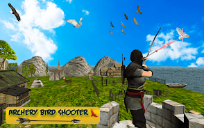 Bird Hunting Mania Screenshot3