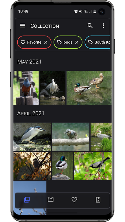 Aves Gallery Screenshot1