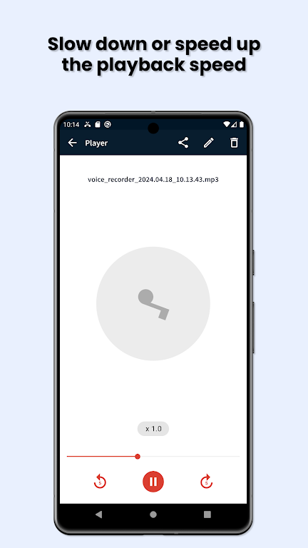 Easy Voice Recorder & Memos Screenshot2