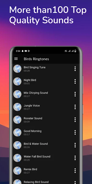 Birds Sounds & Birds Ringtones Screenshot4
