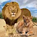 Jungle Kings Kingdom Lion APK