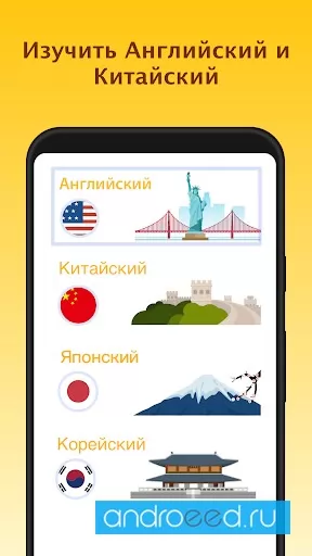 LingoDeer Learn Languages Japanese Korean&More Screenshot4