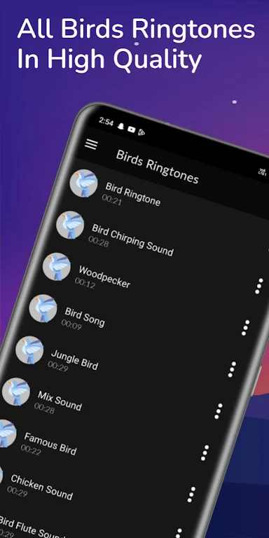 Birds Sounds & Birds Ringtones Screenshot1