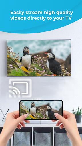 Stream Phone To TV, Mirroring Screenshot3