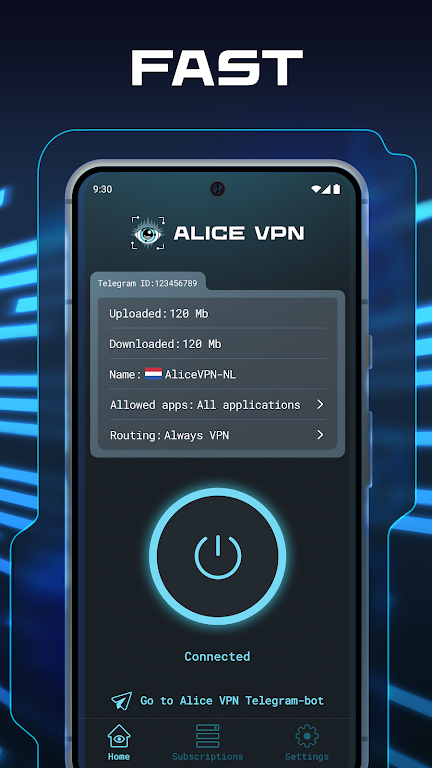 Alice VPN Screenshot1