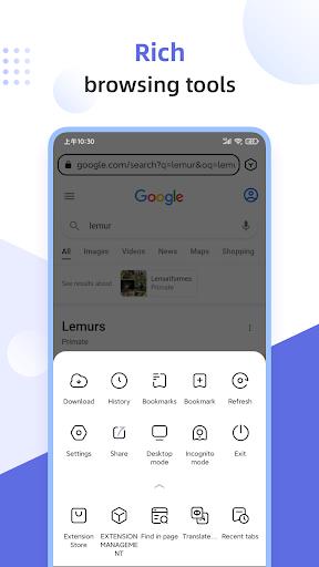 Lemur Browser - extensions Screenshot4