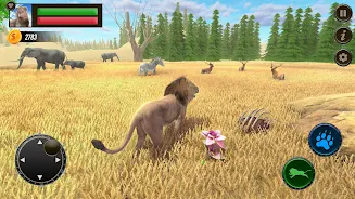 Jungle Kings Kingdom Lion Screenshot5