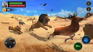 Jungle Kings Kingdom Lion Screenshot7