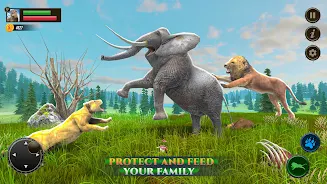 Jungle Kings Kingdom Lion Screenshot2