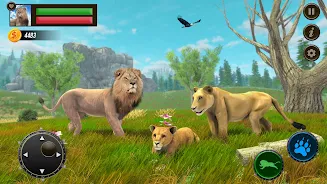 Jungle Kings Kingdom Lion Screenshot1