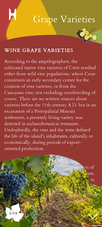 Heraklion Wines AR Screenshot3