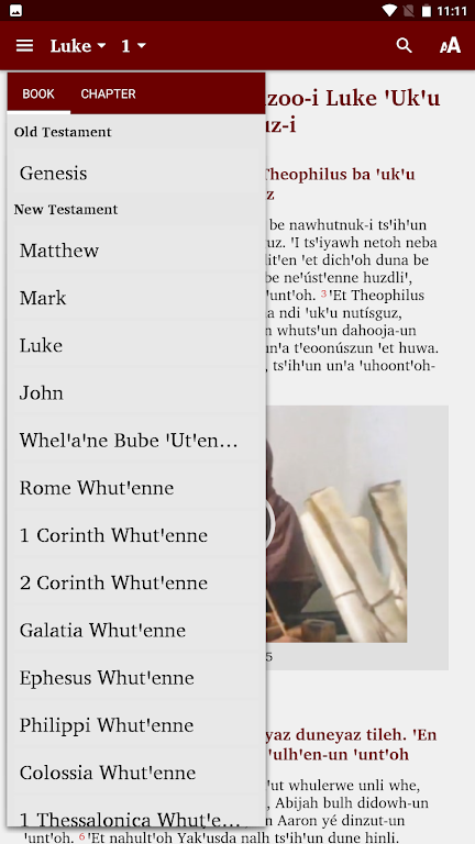 Southern Carrier Bible Screenshot4