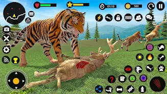 Tiger Games: Tiger Sim Offline Screenshot1