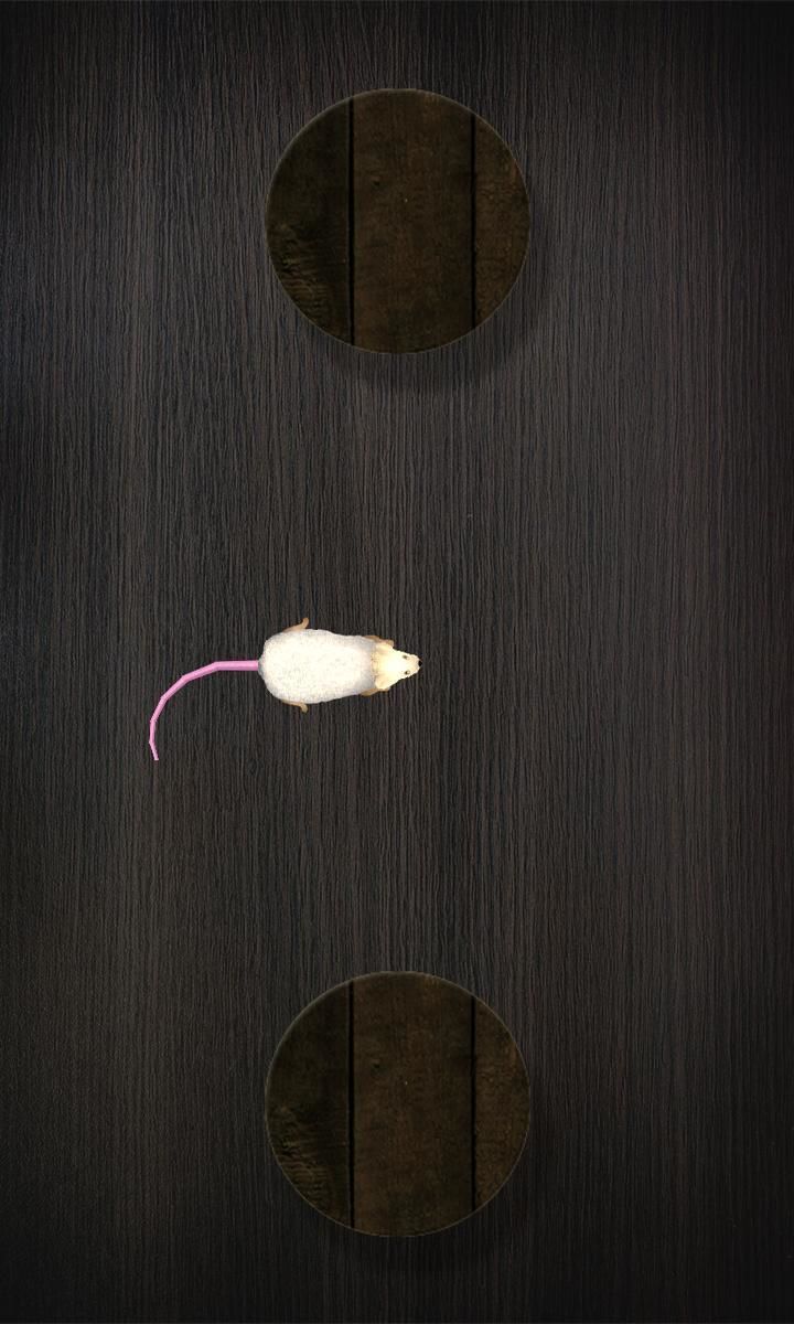 Mouse on the Screen for a Cat Screenshot3