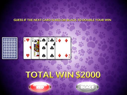 Casino Cash Cats Kitty Slots Screenshot1