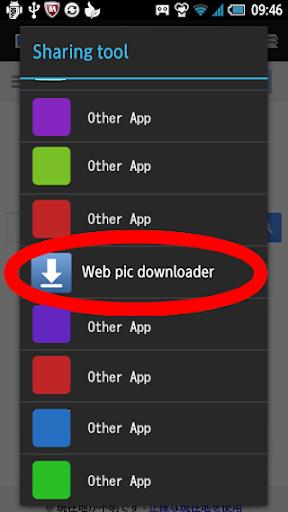 Web pic downloader Screenshot2