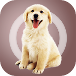 Dog Chat APK