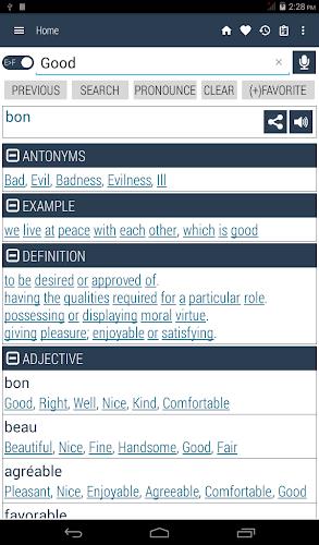 English French Dictionary Screenshot17