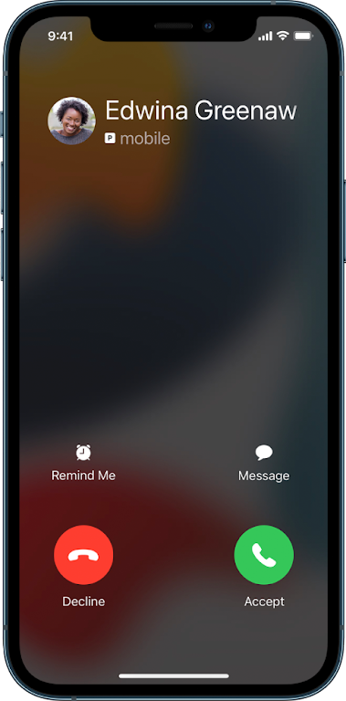 iOS 17 Call Screen Dialer Screenshot4