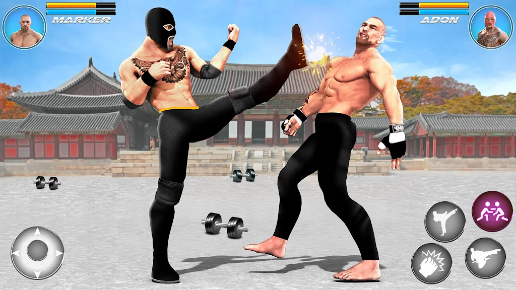 Trò chơi chiến đấu Kung Fu 3D Screenshot2