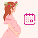 Pregnancy calculator, symptoms APK