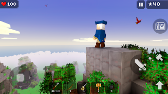 Blocky Craft: craft games Screenshot3