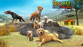 Dog Family Sim Animal Games Screenshot3