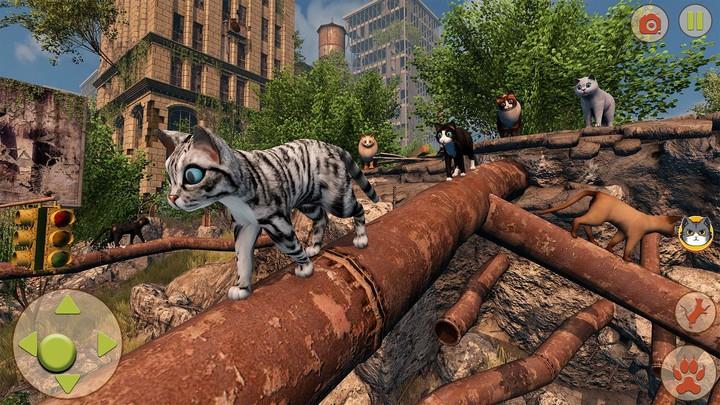 Cat Simulator : Stray Games Screenshot1