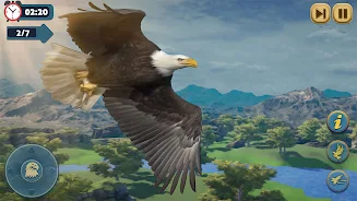 Flying Bird Eagle Simulator 3D Screenshot2