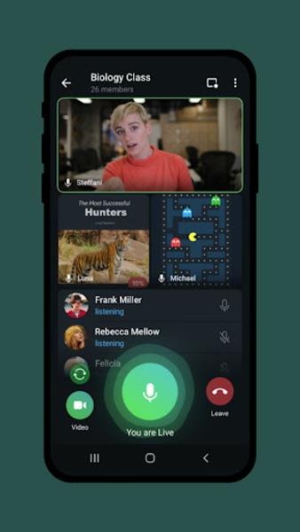 Messenger Plus Screenshot2