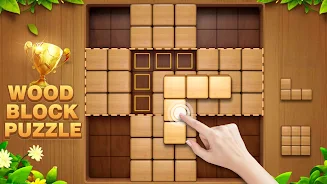 Wood Puzzle Block Blast Screenshot5