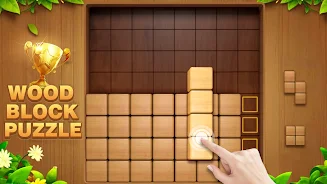 Wood Puzzle Block Blast Screenshot6