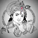 Bhagavad Gita in Hindi and Eng APK