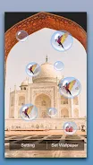 Taj Mahal Live Wallpaper Screenshot2