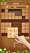 Wood Puzzle Block Blast Screenshot1