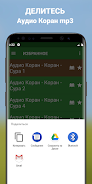 Аудио Коран на русском mp3 Screenshot5