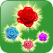 Rose Paradise matching games APK