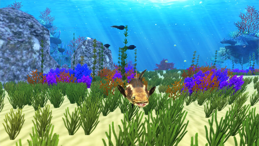 The Cobia Screenshot3