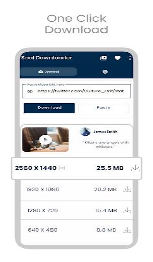 Seal Downloader Screenshot1