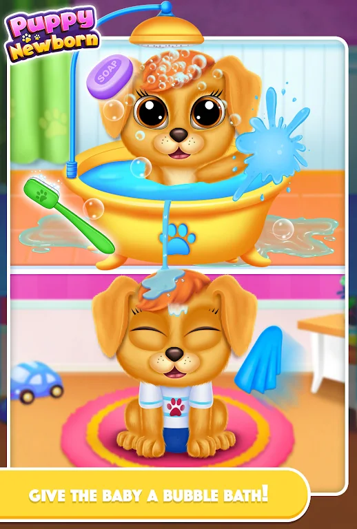 cute poodle dog care Screenshot1