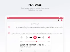 Quran Pro: Read, Listen, Learn Screenshot24
