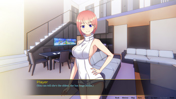 Waifu's Mission vol. 2 (Full version) Screenshot1