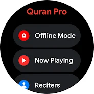 Quran Pro: Read, Listen, Learn Screenshot16